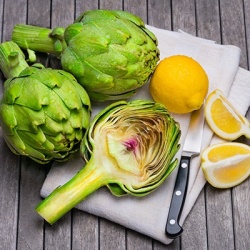 artisjok-cynara-scolymus