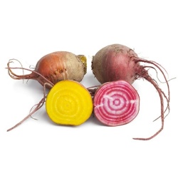 bieten-mix-beta-vulgaris