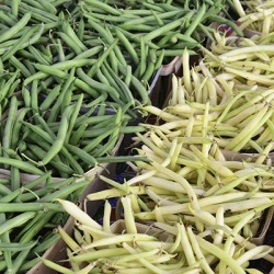 bonen-mix-phaseolus-vulgaris54