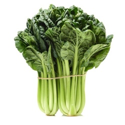 chinese-kool---tatsoi-brassica-rapa-pekinensis