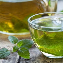 citroenmelisse-melissa-officinalis