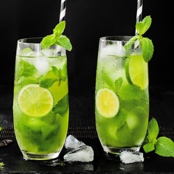 groene-munt-mentha-spicata