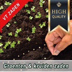 groenten-kruiden-zaden