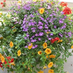 hangpotten-6_1021069935