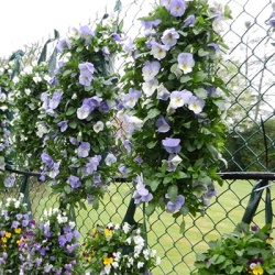 hangzakken-met-bloemen-20