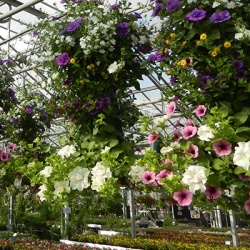 hangzakken-met-bloemen-27