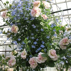 hangzakken-met-bloemen-29