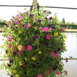 hangzakken-met-bloemen-35