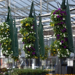 hangzakken-met-bloemen-4