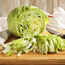 ijsbergsla-lactuca-sativa-var-capitata-iceberg