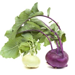 koolrabi-brassica-oleracea-convar-acephala-var-gongylodes