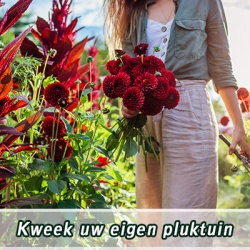 kweek-uw-eigen-pluktuin