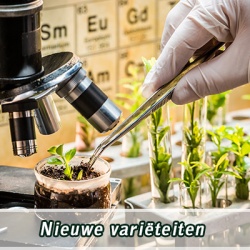 nieuwe-varieteiten