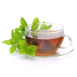 pepermunt-mentha-x-piperita