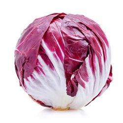 roodloof-rond-cichorium-intybus-var-foliosum