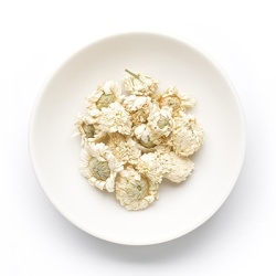 roomse-kamille-chamaemelum-nobile-ligulosum