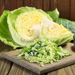 savooikool-brassica-oleracea-var-sabauda