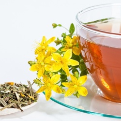 sint-janskruid-hypericum-perforatum