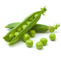 sluimererwten--suikererwten-pisum-sativum-var-macrocarpon