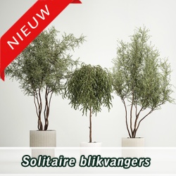 solitaire-blikvangers