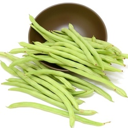 stoksnijboon-phaseolus-vulgaris