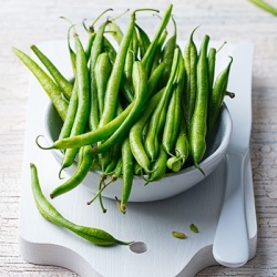 struikbonen-phaseolus-vulgaris