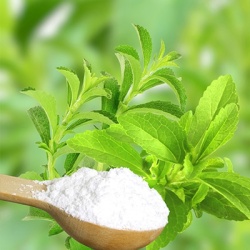 suikerplant--honingplant-stevia-rebaudiana