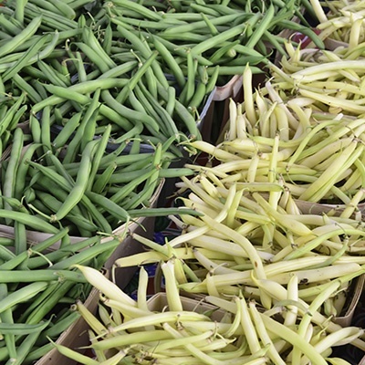 bonen-mix-phaseolus-vulgaris54