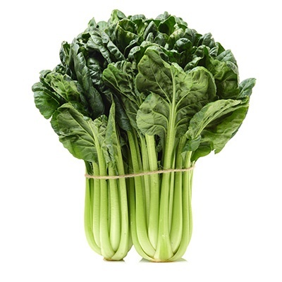 chinese-kool---tatsoi-brassica-rapa-pekinensis