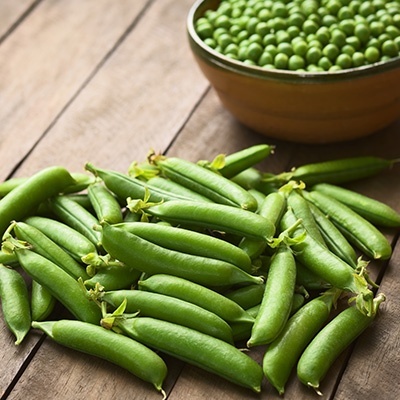 erwten-pisum-sativum
