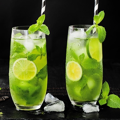 groene-munt-mentha-spicata