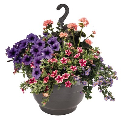 hangpot-mix-met-zomerbloeiers-confetti-garden-party-angelic-brocade-2021