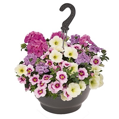 hangpot-mix-met-zomerbloeiers-confetti-garden-party-hunny-bunny-lights