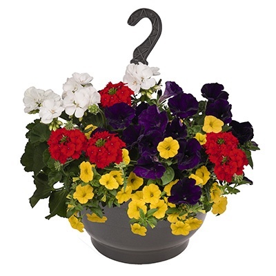 hangpot-mix-met-zomerbloeiers-confetti-garden-party-paradis-lori-lights