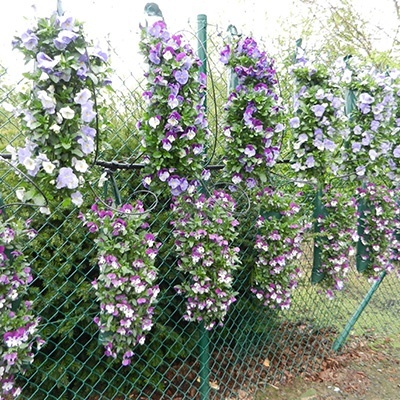 hangzakken-met-bloemen-21