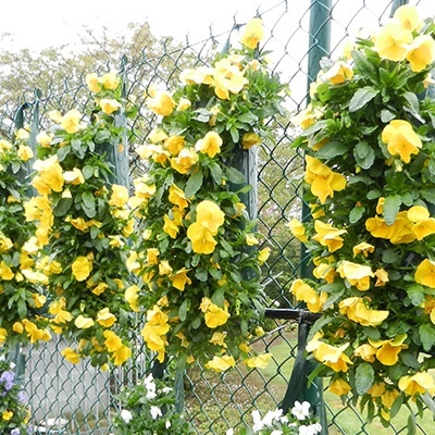 hangzakken-met-bloemen-22