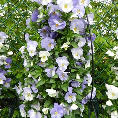 hangzakken-met-bloemen-24