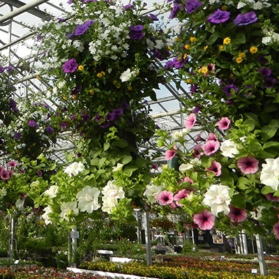 hangzakken-met-bloemen-27