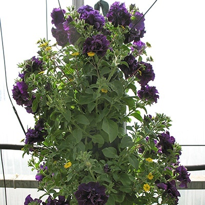 hangzakken-met-bloemen-33