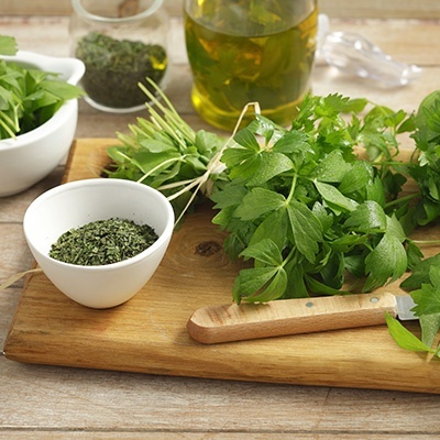 lavas---maggiplant-levisticum-officinalis