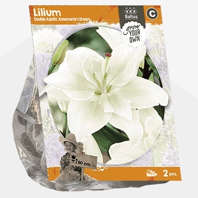 lelie_lilium-double-asiatic-annemaries-dream-per-2