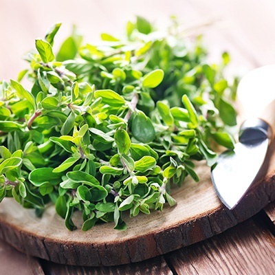 marjolein-origanum-majorana