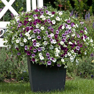 mix-3-in-1-trixi_early-shades-of-blue