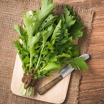 mosterdsla-brassica-juncea