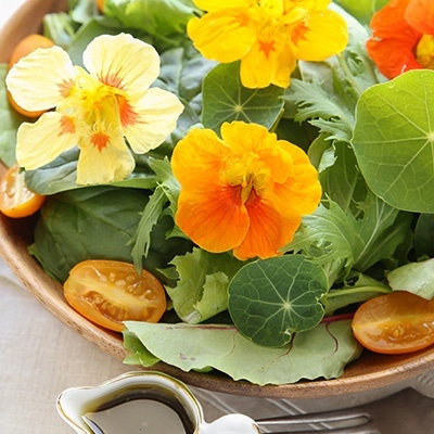 oost-indische-kers-tropaeolum-majus