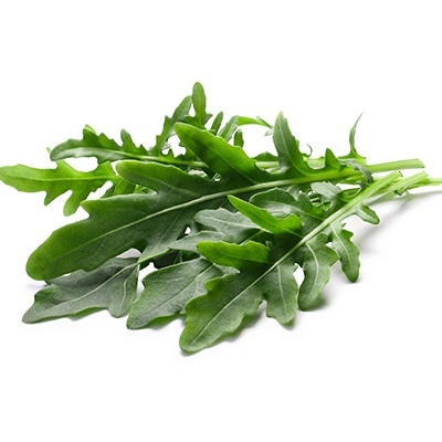 raketsla--rucola-eruca-sativa