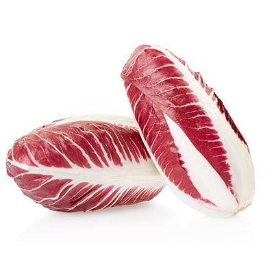 roodloof-cichorium-intybus-var-foliosum-als-witloof-geteeld