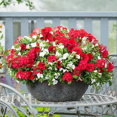 trio-mix_multi-specie-mixmasters-power-play