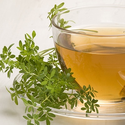 wijnruit-ruta-graveolens