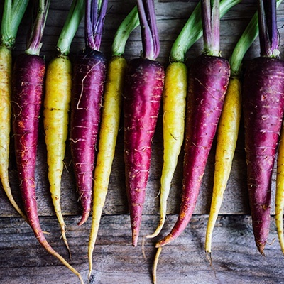 wortel-heirloom-daucus-carota